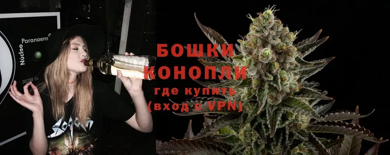 Канабис SATIVA & INDICA  где купить наркоту  Белозерск 